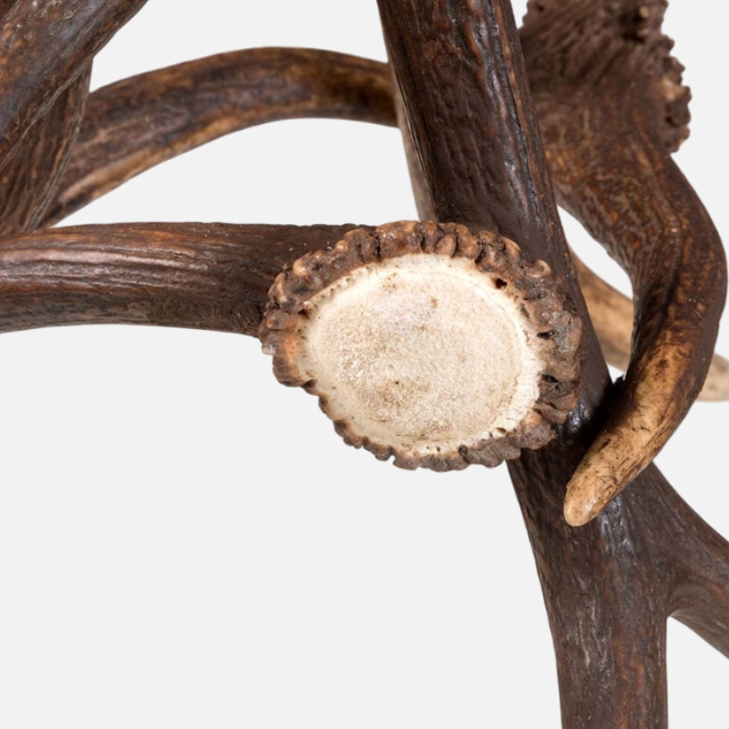 Wooden and deer antler coffee table