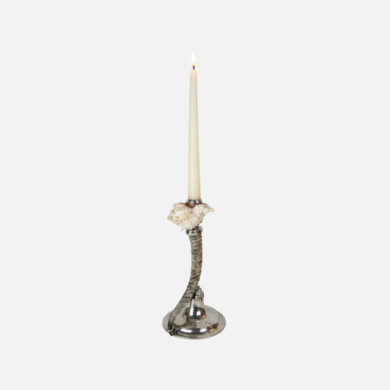 Candelabro decorativo con corno e conchiglia